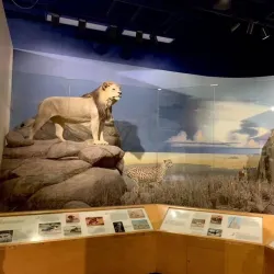 Putnam Museum and Science Center - Davenport