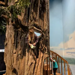 Putnam Museum and Science Center - Davenport