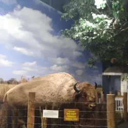 Putnam Museum and Science Center - Davenport