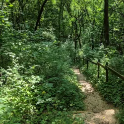 Schuetzen Park - Davenport