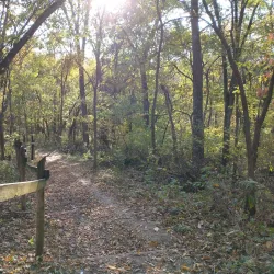 Schuetzen Park - Davenport