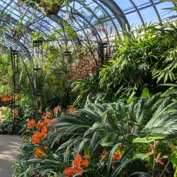 Vander Veer Botanical Park - Davenport