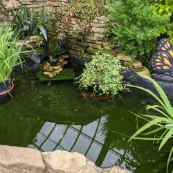 Vander Veer Botanical Park - Davenport