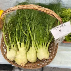 Decorah Farmers Market - Decorah