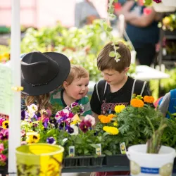 Decorah Farmers Market - Decorah