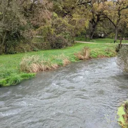 Decorah Fish Hatchery - Decorah