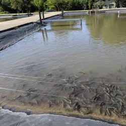Decorah Fish Hatchery - Decorah
