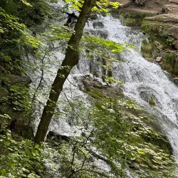 Dunning's Spring Park - Decorah