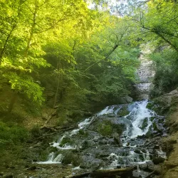 Dunnings Spring - Decorah