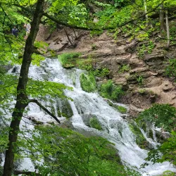 Dunnings Spring - Decorah