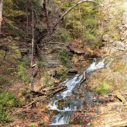 Dunnings Spring - Decorah
