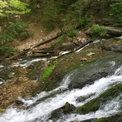 Dunnings Spring - Decorah