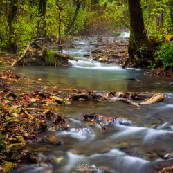 Dunnings Spring - Decorah