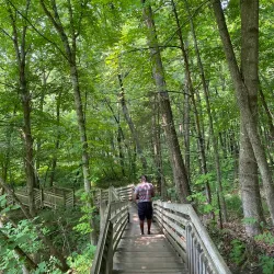 Dunnings Spring - Decorah
