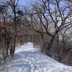 Pulpit Rock Nature Preserve - Decorah