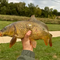 Upper Iowa River - Decorah