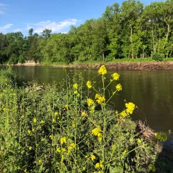Upper Iowa River - Decorah