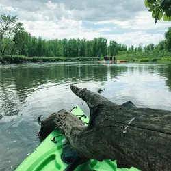 Upper Iowa River - Decorah