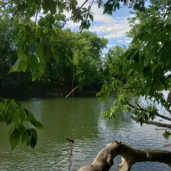 Upper Iowa River - Decorah