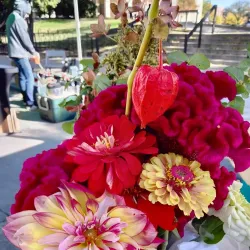 Des Moines Farmers' Market - Des Moines