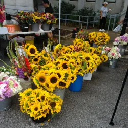 Des Moines Farmers' Market - Des Moines