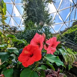 Greater Des Moines Botanical Garden - Des Moines