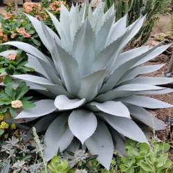 Greater Des Moines Botanical Garden - Des Moines