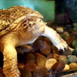 Science Center of Iowa - Des Moines