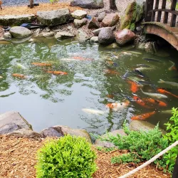 Dubuque Arboretum & Botanical Gardens - Dubuque