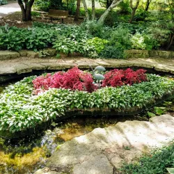 Dubuque Arboretum & Botanical Gardens - Dubuque