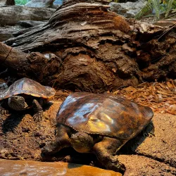 National Mississippi River Museum & Aquarium - Dubuque