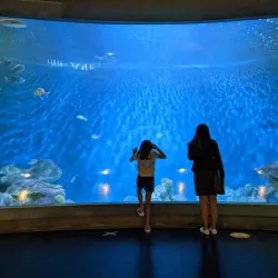 National Mississippi River Museum & Aquarium - Dubuque