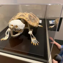 National Mississippi River Museum & Aquarium - Dubuque