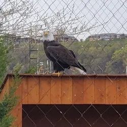 National Mississippi River Museum & Aquarium - Dubuque