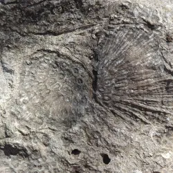 Devonian Fossil Gorge - Iowa City