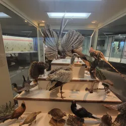 Museum of Natural History - Iowa City
