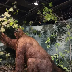 Museum of Natural History - Iowa City