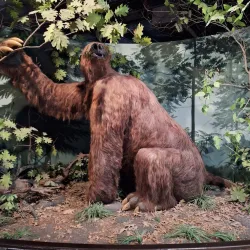 Museum of Natural History - Iowa City