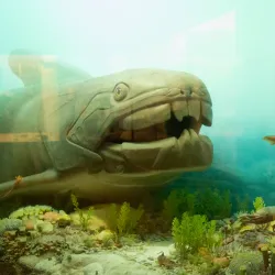 Museum of Natural History - Iowa City