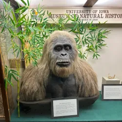 Museum of Natural History - Iowa City