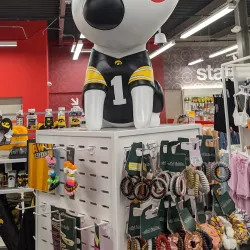 Pedestrian Mall - Iowa City