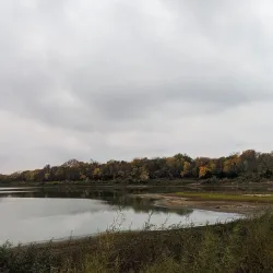 Terry Trueblood Recreation Area - Iowa City