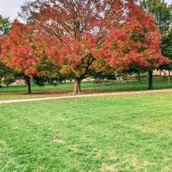 University of Iowa - Iowa City