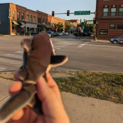 Iowa Falls Community Theatre - Iowa Falls