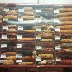 Marion County Historical Museum - Knoxville