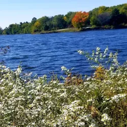 Prairie Rose State Park - Knoxville