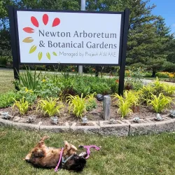 Newton Arboretum & Botanical Gardens - Newton