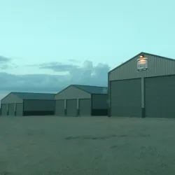 Sheldon Crossing - Sheldon