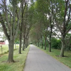 Sheldon Recreational Trail - Sheldon