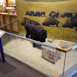 Lewis and Clark Interpretive Center - Sioux City